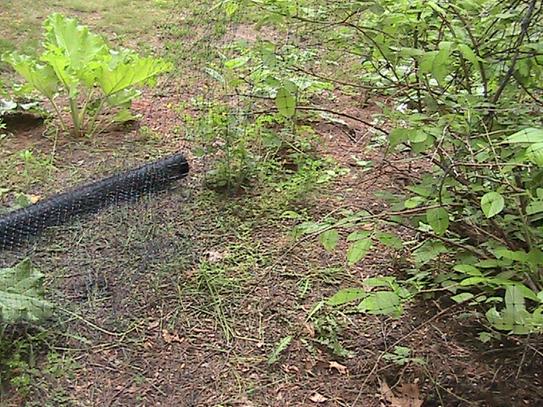 Bird B Gone Garden Bird Netting 3/4 in. Mesh - Black