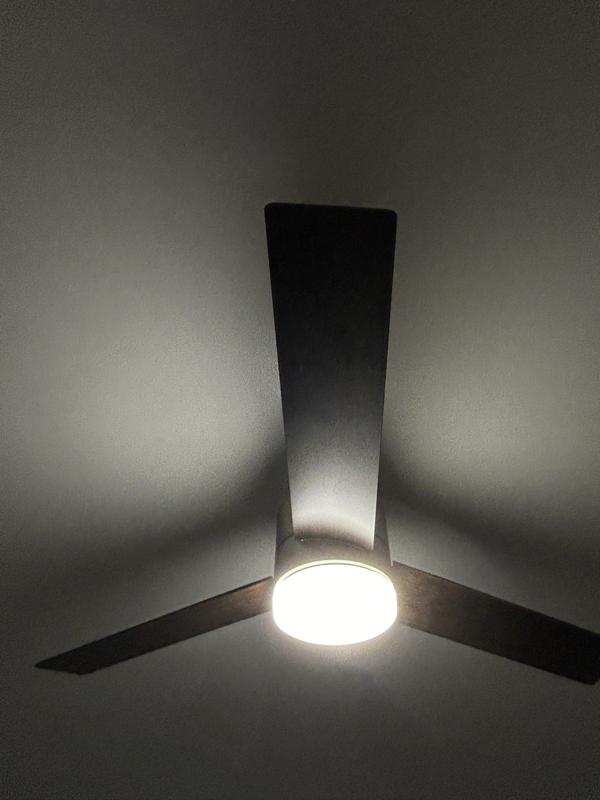 Reviews for Hampton Bay Madison 52 in. Indoor Brushed Nickel Reviews for Hampton Bay Madison 52 in. Indoor Brushed Nickel