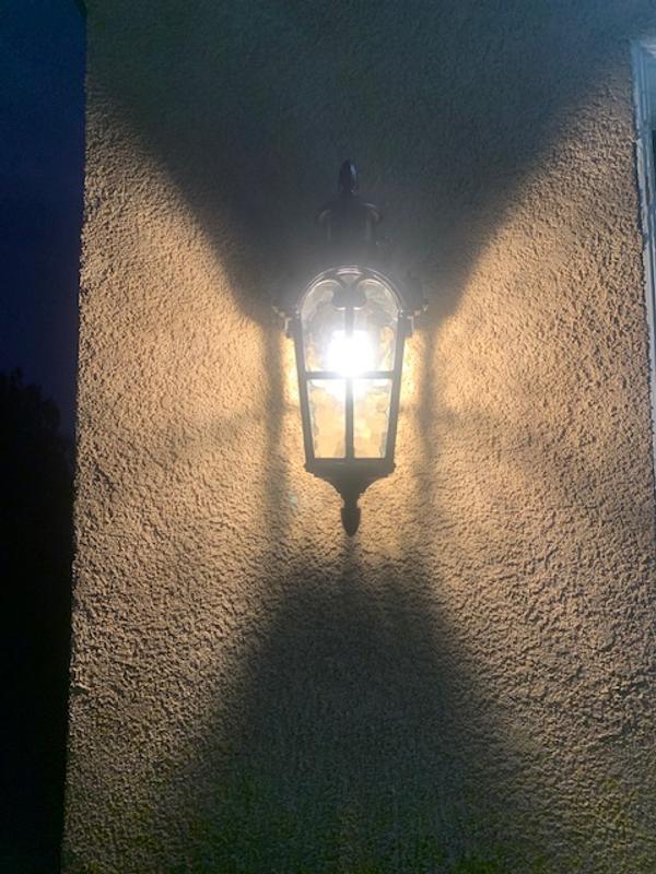 DEWENWILS 16.8 in. Black Motion Sensing Dusk to Dawn Outdoor
