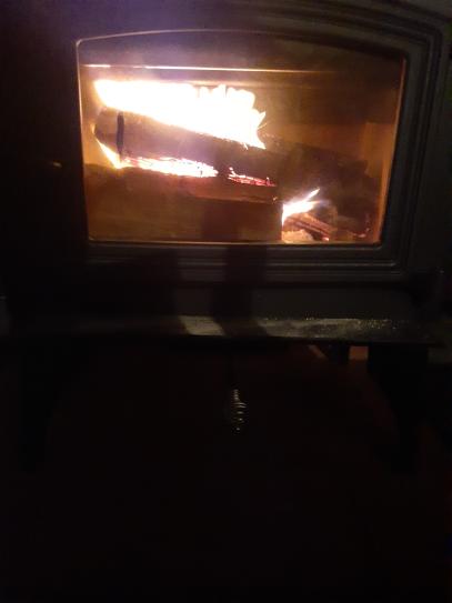Pleasant Hearth 1 200 Sq Ft Epa Certified Wood Burning Stove Ws