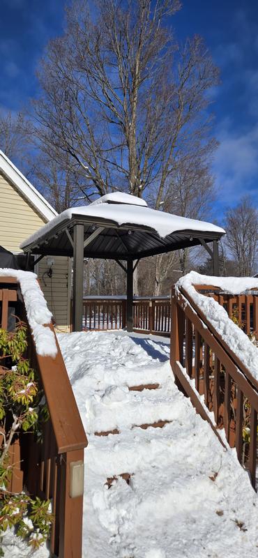 PURPLE LEAF 12 ft.x 14 ft.Bronze Aluminum Power-Coated Frame