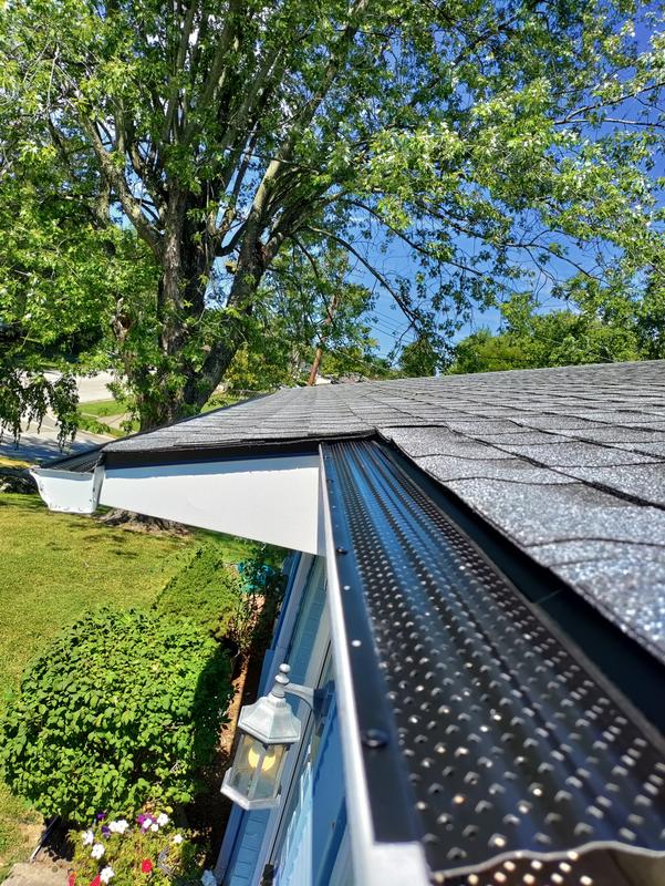 Reviews for Spectra Pro Select 6 ft. x 6 in. EcoGuard Gutter Guard