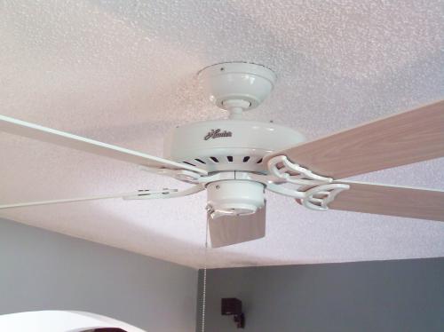 Hunter Summer Breeze 52 In White Ceiling Fan 53039 At The Home
