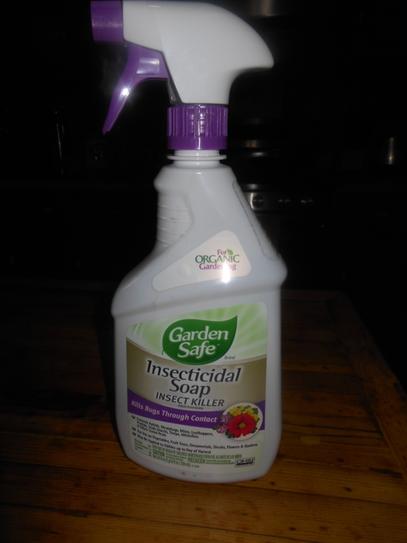 Garden Safe 24 Fl Oz Ready To Use Insecticidal Soap Hg 10424x 7