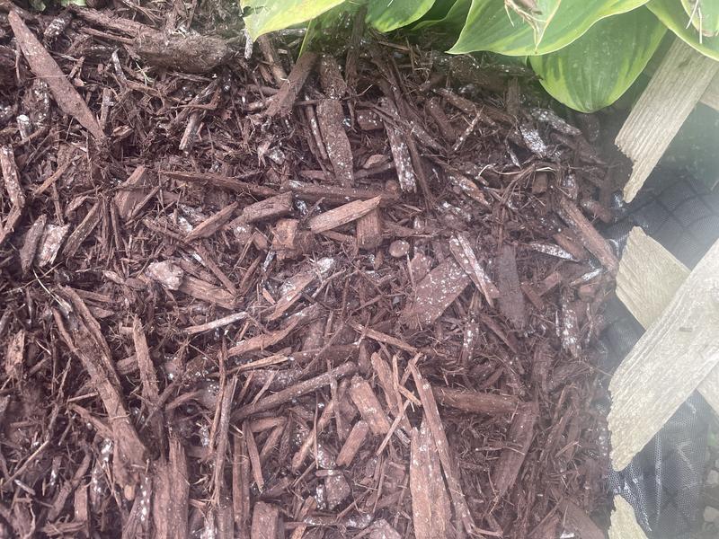 Earthgro 1.5 cu. ft. Bagged Brown Wood Mulch 88659180 - The Home Depot