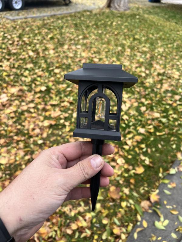 蓄光石/蓄光キノコ/ストームグラス/キューブライト+ブラックライト C Cattleya Black Flickering Flame 100 Lumen LED Weather Resistant