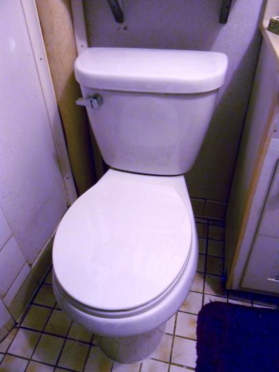 American Standard Renaissance WaterWarden Toilet-To-Go Tall Height 2 ...