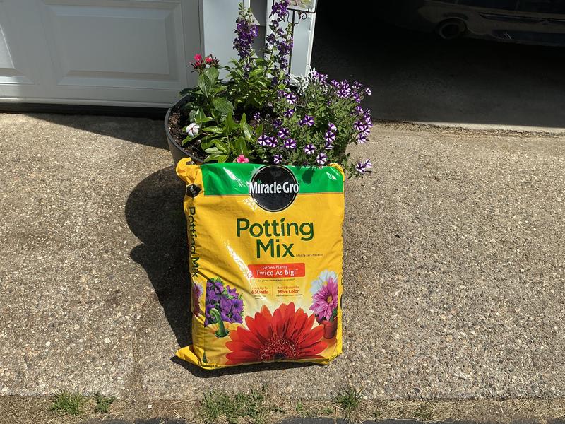 fox farm potting mix Fox Farm Ocean Forest Potting Soil – Lisena Garden Center