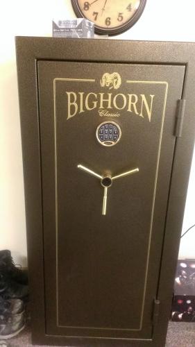 bighorn safe