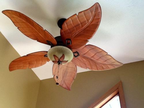 Hampton Bay Antigua 56 In Indoor Brushed Nickel Ceiling Fan With