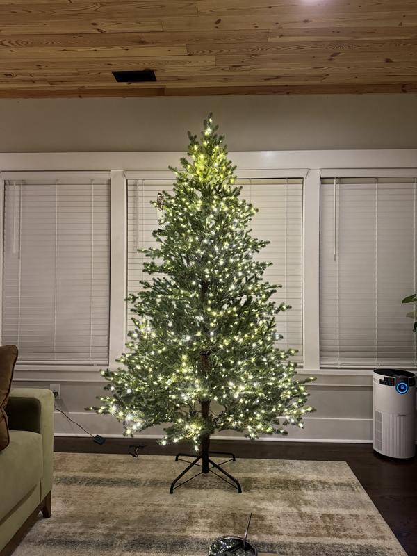 Home Decorators Collection 9 ft Elegant Grand Fir LED Pre-Lit Artificial Christmas  Tree with Timer with 3000 Warm White Lights W14N0139 - The Home Depot