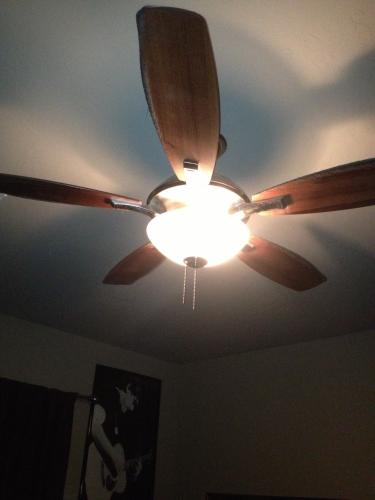 Hampton Bay Springview 52 In Indoor Brushed Nickel Ceiling Fan