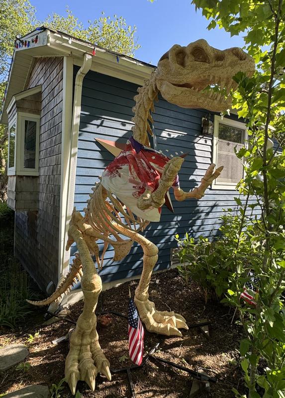 Reviews for Home Accents Holiday 8 FT Long Grave & Bones Giant