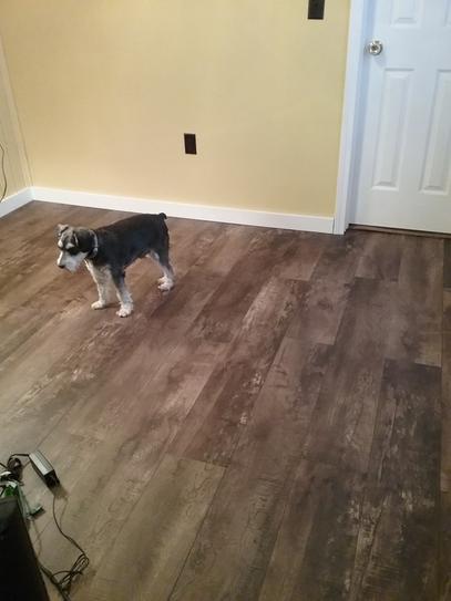 Home Decorators Collection Trail Oak Brown 8 in x 48 in Home Decorators Collection Trail Oak Brown 8 in x 48 in