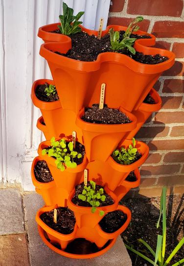 Mr. Stacky Jardinière Verticale Empilable à 3 étages Avec Auto-arrosage