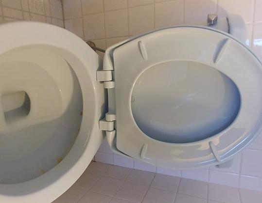 Bemis Toilettensitz Mit Soft-Close – Langsam Schließend, Leicht Zu Reinigen, Farbe Dresden-Blau, RUND