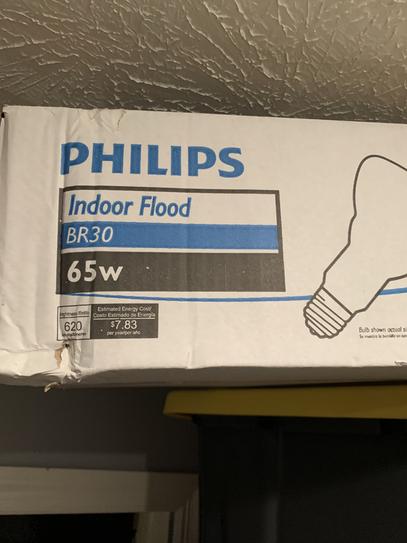 Philips br30 65w indoor flood clearance