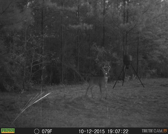 Moultrie Pro Lock Tripod Deer Feeder Mfg 12607 At The Home Depot