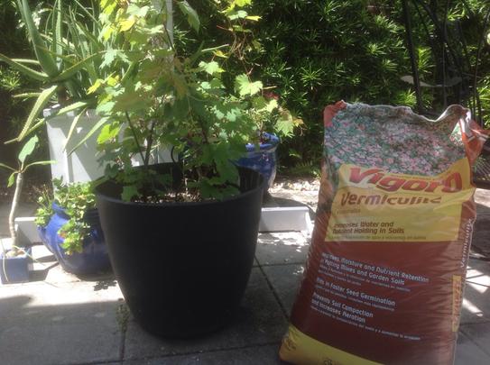 Vigoro 2 cu. ft. Organic Vermiculite Soil Amendment 100521092 at The