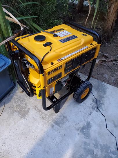 Reviews for DEWALT 8000 Watt Electric Start Gas Powered Portable