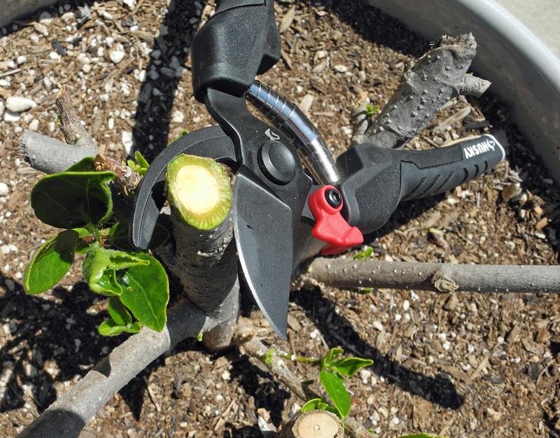 Husky 8 in. Bypass Garden Pruner Shears Husky-11 - The Home Depot