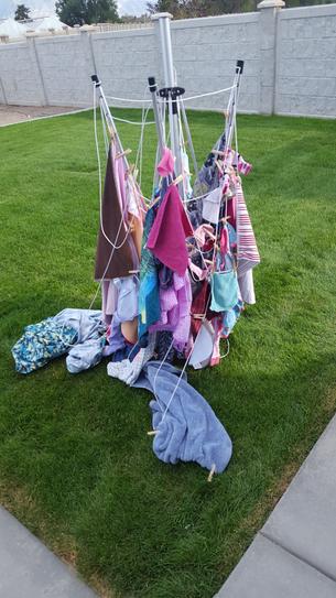 Reviews for Everbilt Outdoor Clothesline Dryer Pg 1 The Home Depot