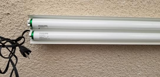 Philips 409383 40W T12 Daylight Deluxe Linear Fluorescent Bulb – 6500K, 90 CRI, 20,000 Hours, 30-Pack