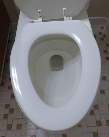 KOHLER Brevia Elongated Q2 Advantage Toilet Seat In Almond K-4774-47 - View #8