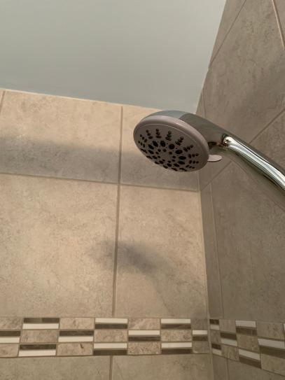 Hotel Spa 7-Spray 4 in. Single Wall Mount Handheld Rain Shower Head in ...