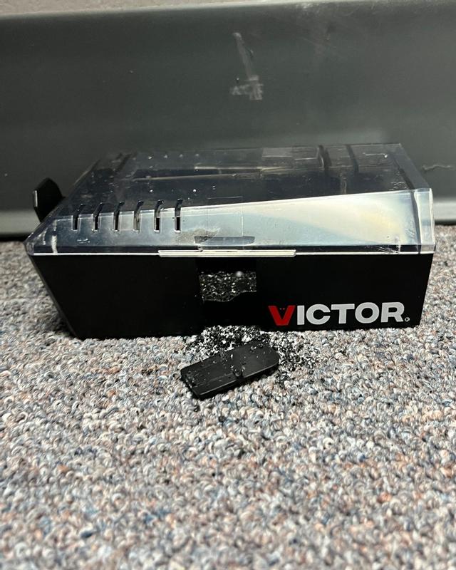 Victor Indoor/Outdoor Multi-Catch Mouse Trap (2-Pack) M335-2HDVB