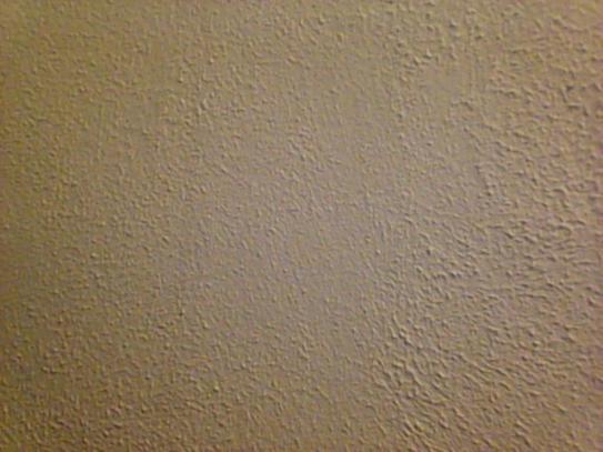 Homax 2 gal. White Sand RollOn Texture Decorative Wall Finish 2417 at The Home Depot Mobile