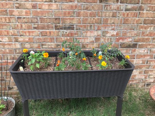 Keter Easy Grow 44.9 in. W x 29.8 in. H Brown Raised Garden Bed 212157