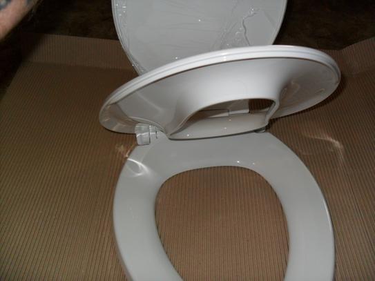 KOHLER Transitions Nightlight Elongated Closed Front Toilet Seat in White  K-2599-0 - The Home Depot