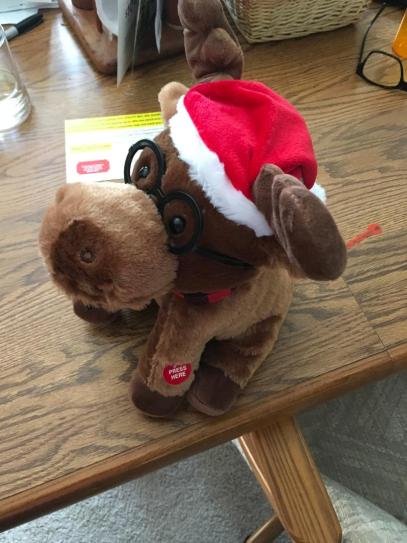 Reviews for Home Accents Holiday 12 in. Animated Plush Singing