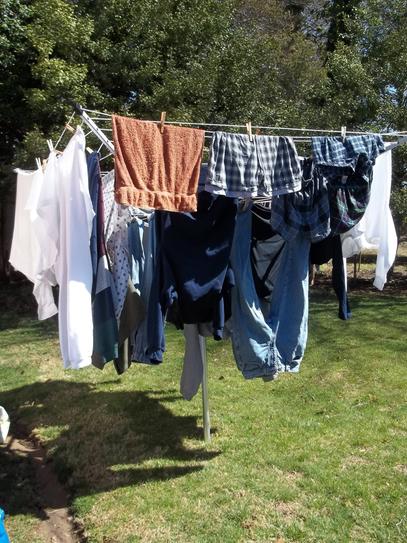 Reviews for Everbilt Outdoor Clothesline Dryer Pg 1 The Home Depot