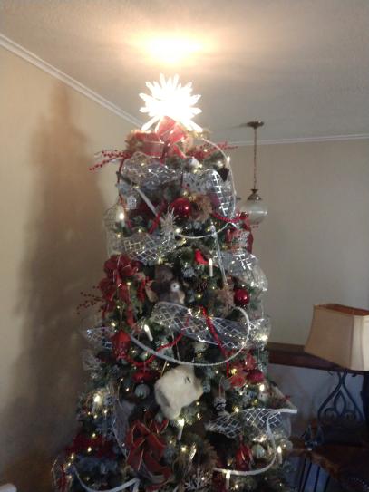 Reviews for Home Accents Holiday 13.5 in Christmas Clear Star Tree