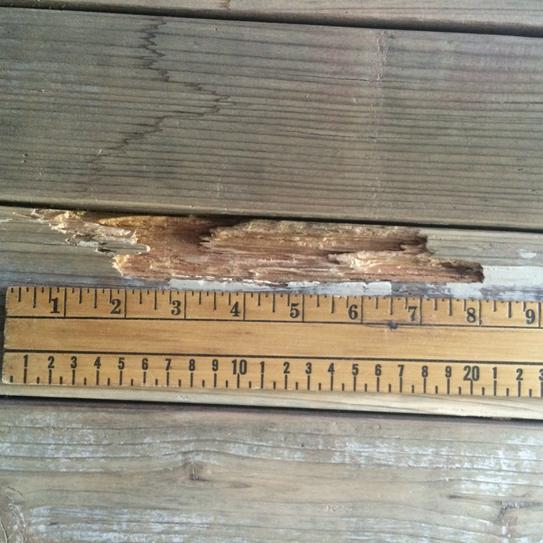 Rotted Wood Repair Kit