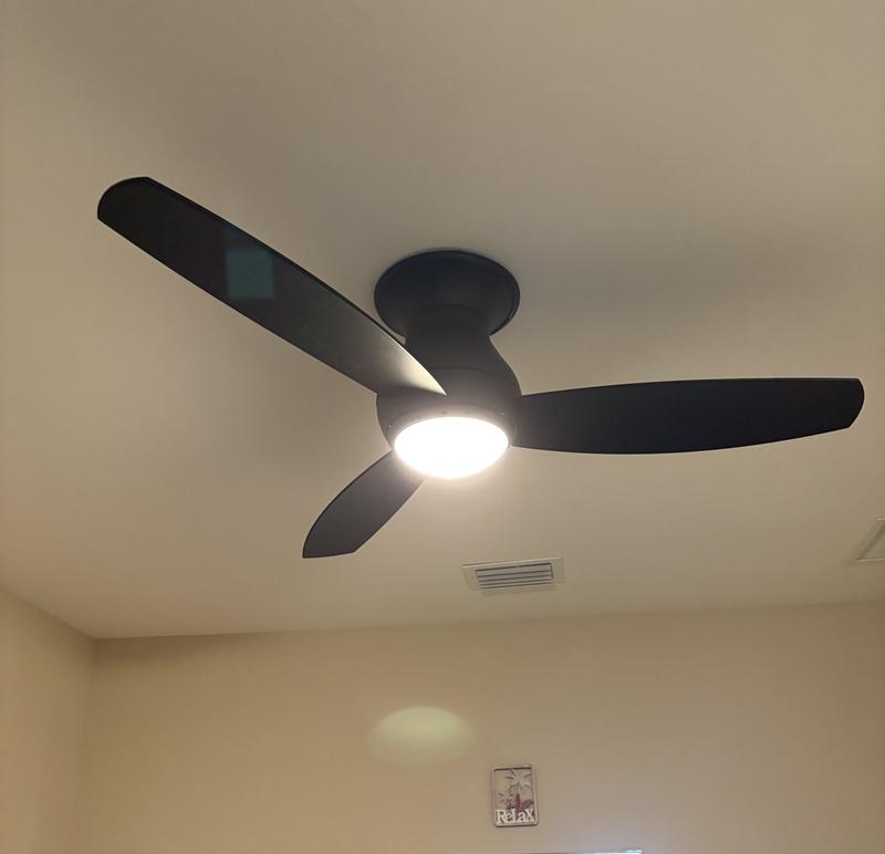 Shinevoy 52 in. Indoor Wood Ceiling Fan with Lights Remote Control