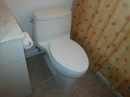 Kohler Santa Rosa Comfort Height 1 Piece 1 28 Gpf Compact Single