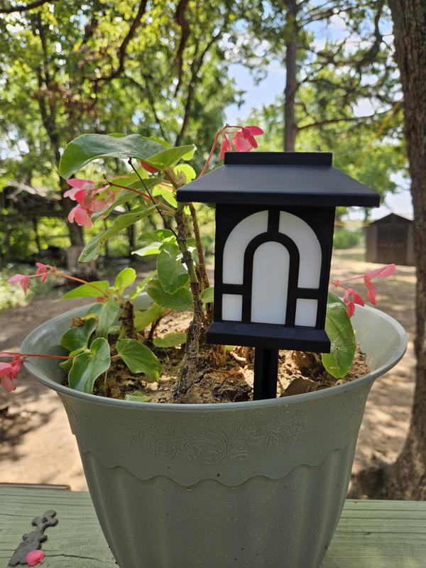 C Cattleya Black Flickering Flame 100 Lumen LED Weather Resistant