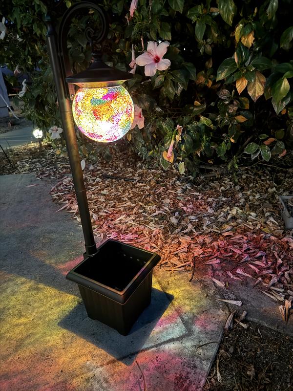 C Cattleya 1-Light Solar Plastic Black LED Outdoor Weather
