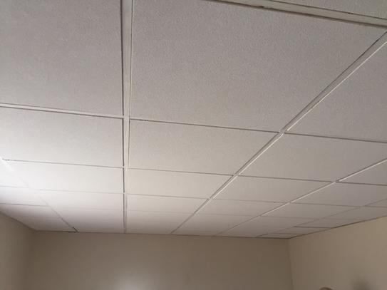 Armstrong Ceilings Sahara 2 Ft X 2 Ft Lay In Ceiling Panel