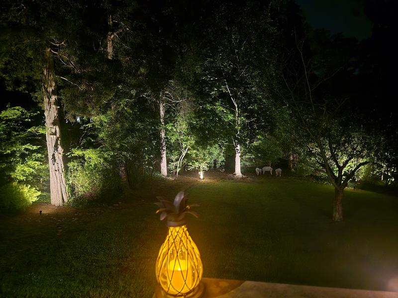 Hampton Bay 17 in. Aged Bronze Outdoor Patio LED Candle Pineapple selling Lantern