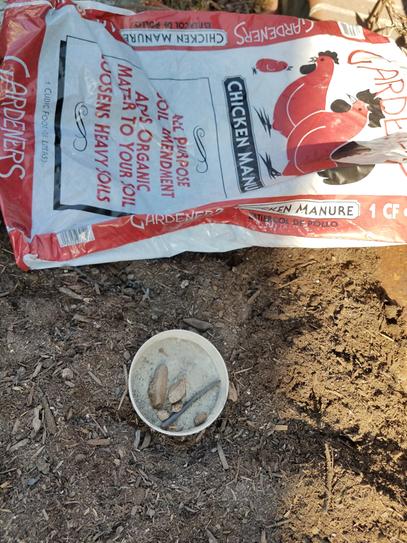 Chicken manure home depot discount