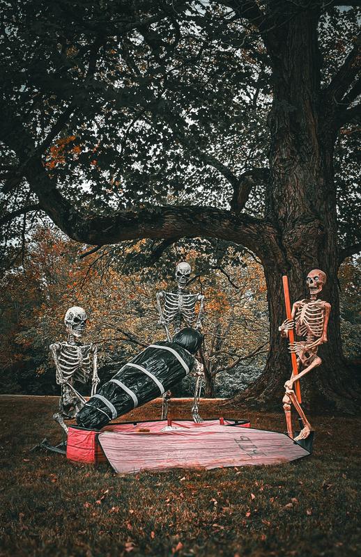 Reviews for Home Accents Holiday 3-Pack 5 ft. Grave & Bones