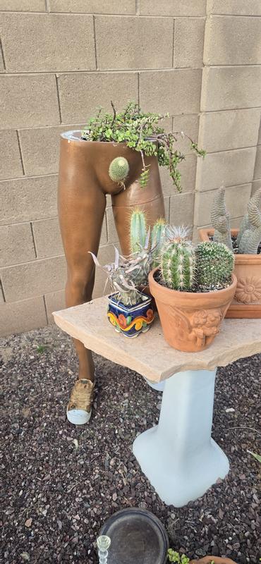 Have a question about Miracle-Gro Cactus, Palm and Citrus Soil 1