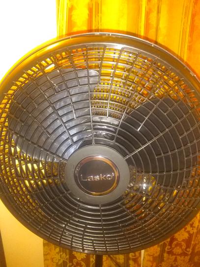 Lasko Performance Adjustable-Height 16 in. 3 Speed Black Oscillating  Pedestal Fan 2527 - The Home Depot