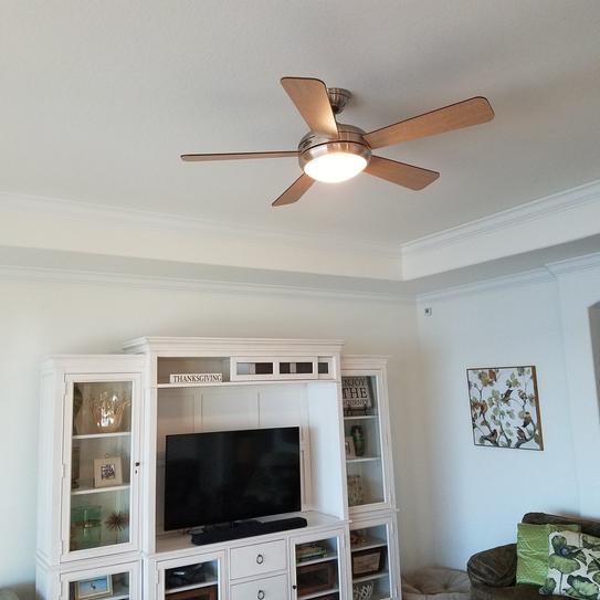 Hunter Palermo 52 In Indoor Brushed Bronze Ceiling Fan With
