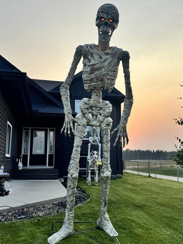 Have a question about Home Accents Holiday 11 FT Grave & Bones