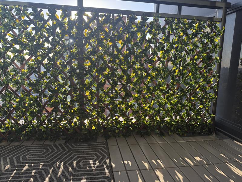 Reviews for Vigoro 36 in. H x 72 in. W Golden Artificial Gardenia